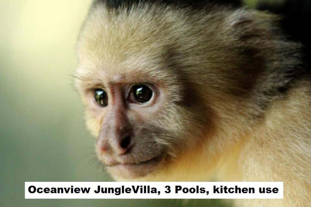 Jungle Villa Manuel Antonio Exterior foto